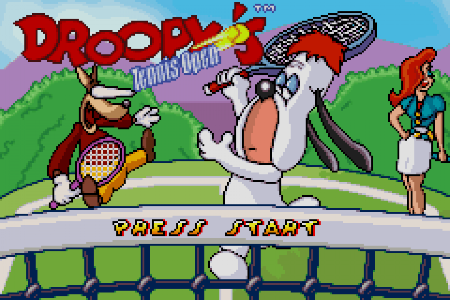 Droopy's Tennis Open